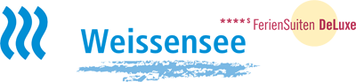 website logo